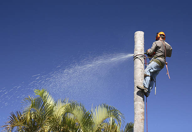 Lawn Watering Services in Weweantic, MA